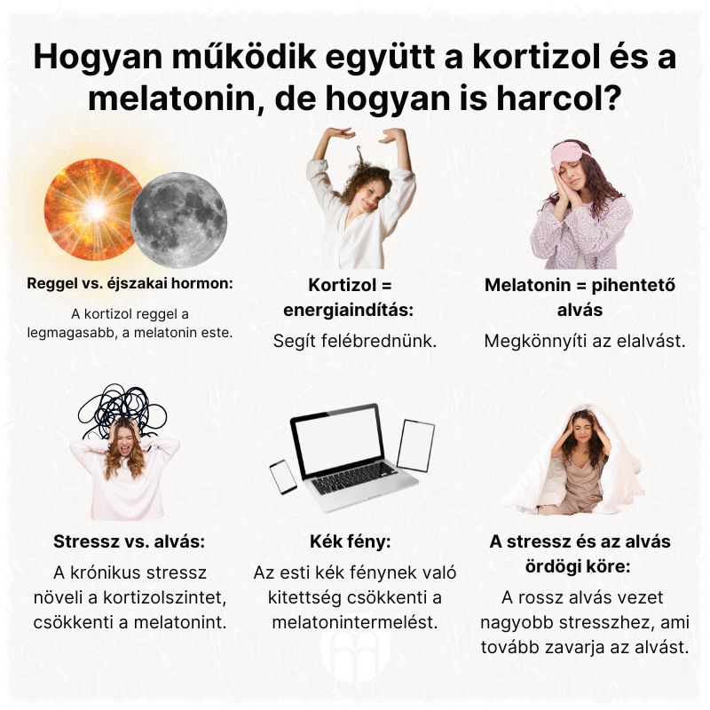 (Maďarština) Jak spolu kortizol a melatonin spolupracují ale i bojují